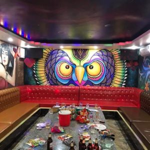 vẽ tranh tường cú ảo